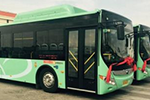 山东：威海101路、115路公交全线更新环保车