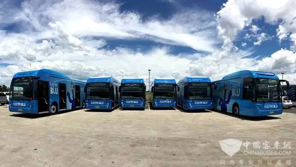 澳洲第三大城市加盟比亚迪全球公交电动化阵容