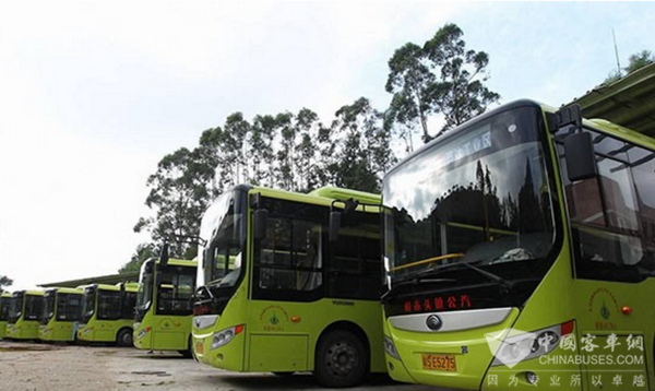 广东东莞：樟头木公交公司已有95辆纯电动公交