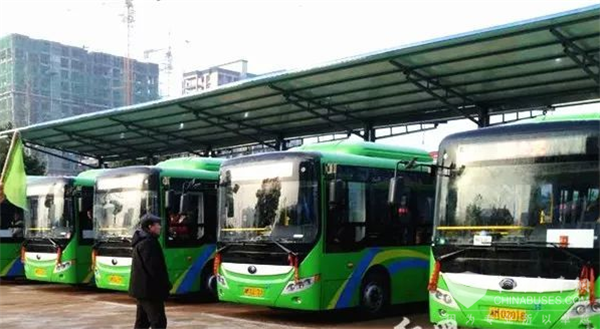 湖南新田：首批新能源公交车投入运营
