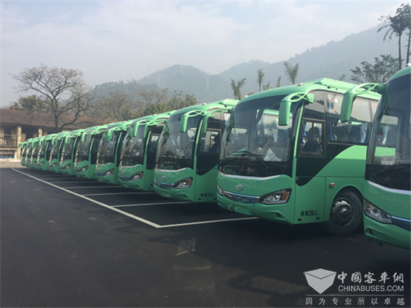 重庆黑山谷：八年同行，钟爱海格