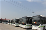 河南驻马店：新增160辆新能源公交车