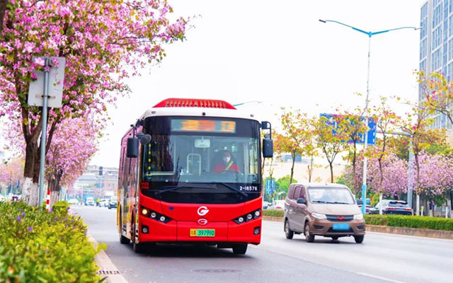 乘着广州公交追花去 这次到花都