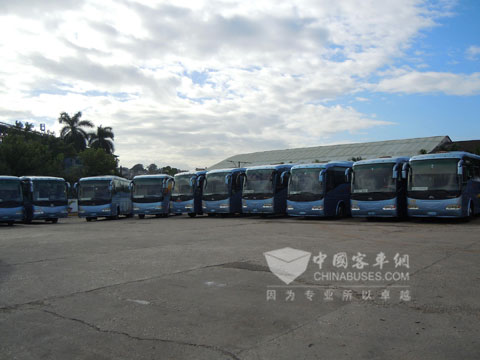 排放整齐的宇通客车