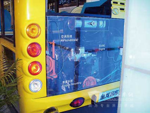 大金龙半透明展示