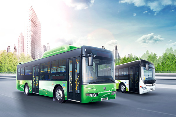 宇通ZK6105HNGXN1公交车(液态天然气国五10-34座)