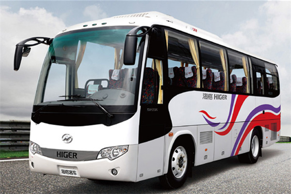 海格KLQ6896KQC50客车(天然气国五24-39座)