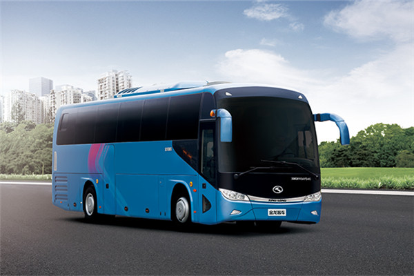 金龙XMQ6113AYN5C客车(天然气国五24-53座)