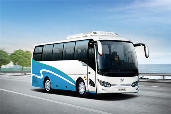 金龙XMQ6101AYD5D客车(柴油国五24-49座)