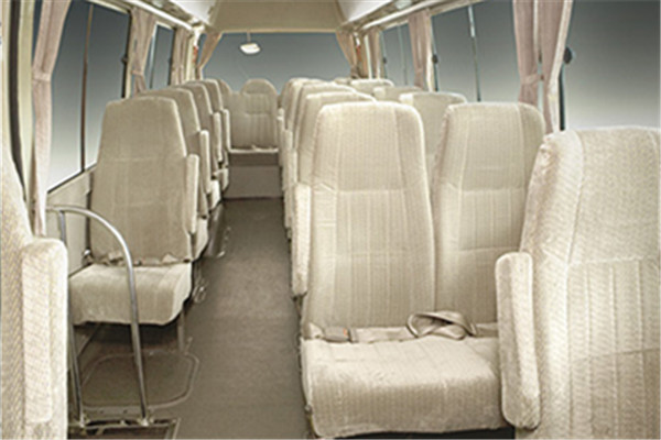 安凯HFF6700KQE4FB客车(汽油国四10-23座)