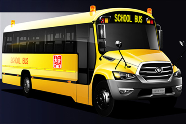 安凯HFF6581KX5小学生专用校车(柴油国五10-19座)