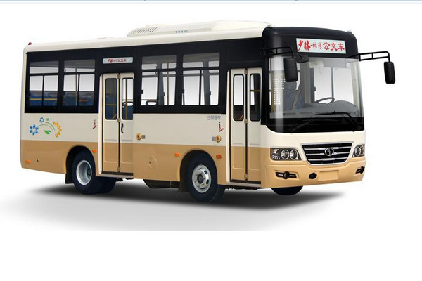少林SLG6730C5GF公交车(柴油国五10-29座)