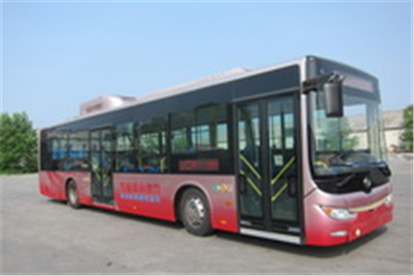 黄海DD6129CHEV5公交车（柴油/电混动国四24-38座）