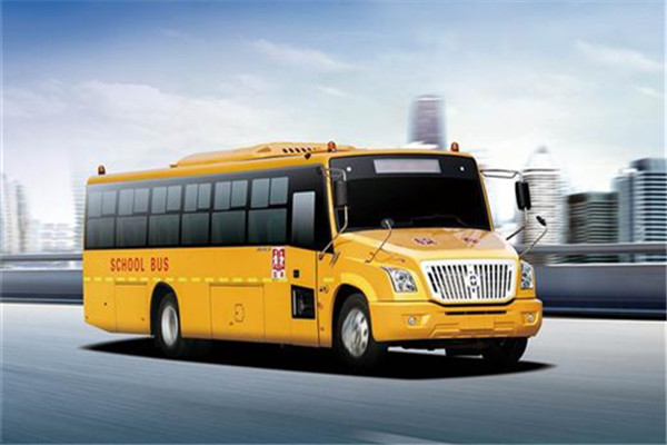 亚星JS6900XCP2中小学生专用校车(柴油国五24-42座)
