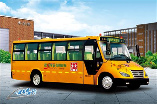 友谊ZGT6920DVX小学生专用校车（柴油国五24-53座）