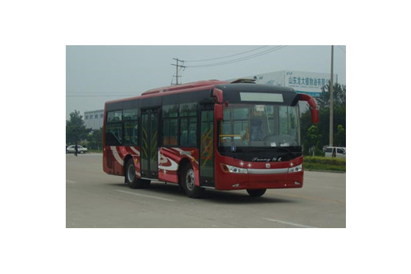 中通LCK6950HGA公交车（柴油国五10-38座）