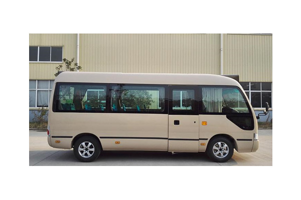 九龙HKL6602GBEV1公交车(纯电动10-17座)