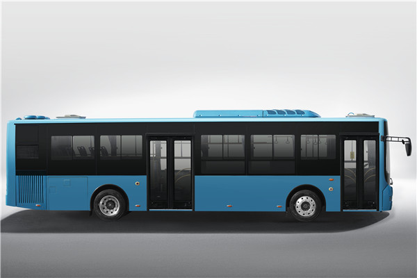 中车电动TEG6129BEV05公交车(纯电动10-38座)