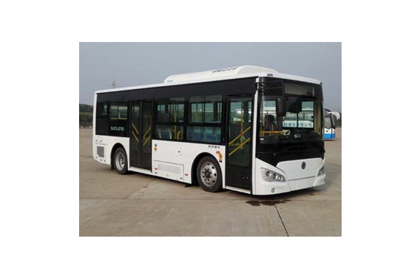 申龙SLK6819UBEVN7公交车(纯电动15-29座)
