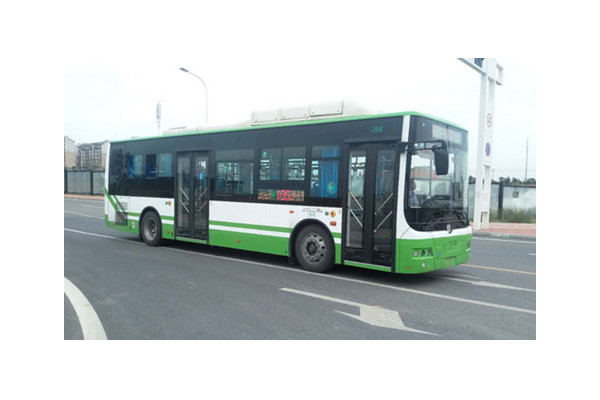 中车电动TEG6106BEV51公交车(纯电动19-40座)
