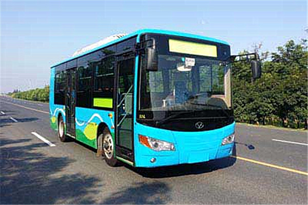 友谊ZGT6820LBEV公交车(纯电动10-23座)