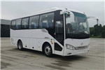 海格KLQ6829KAE61客车（柴油国六24-36座）
